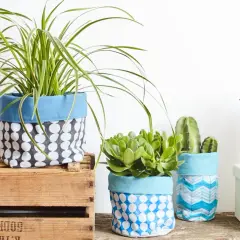 Maceteros decorados con tela de saco, con plantas de interior y suculentas.