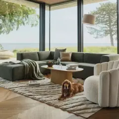 Un perro descansa junto a un sofá modular verde y un sillón blanco, mostrando la diferencia entre butaca y sillón en un salón moderno con vistas al mar.