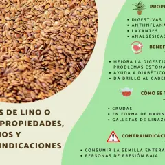 Semillas de lino, que es el lino, con sus propiedades digestivas, antiinflamatorias y beneficios para la salud.