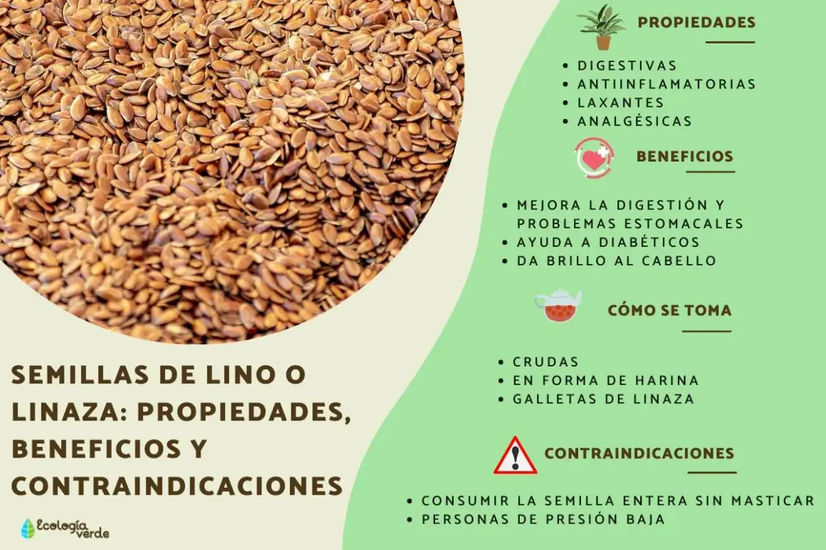 Semillas de lino, que es el lino, con sus propiedades digestivas, antiinflamatorias y beneficios para la salud.