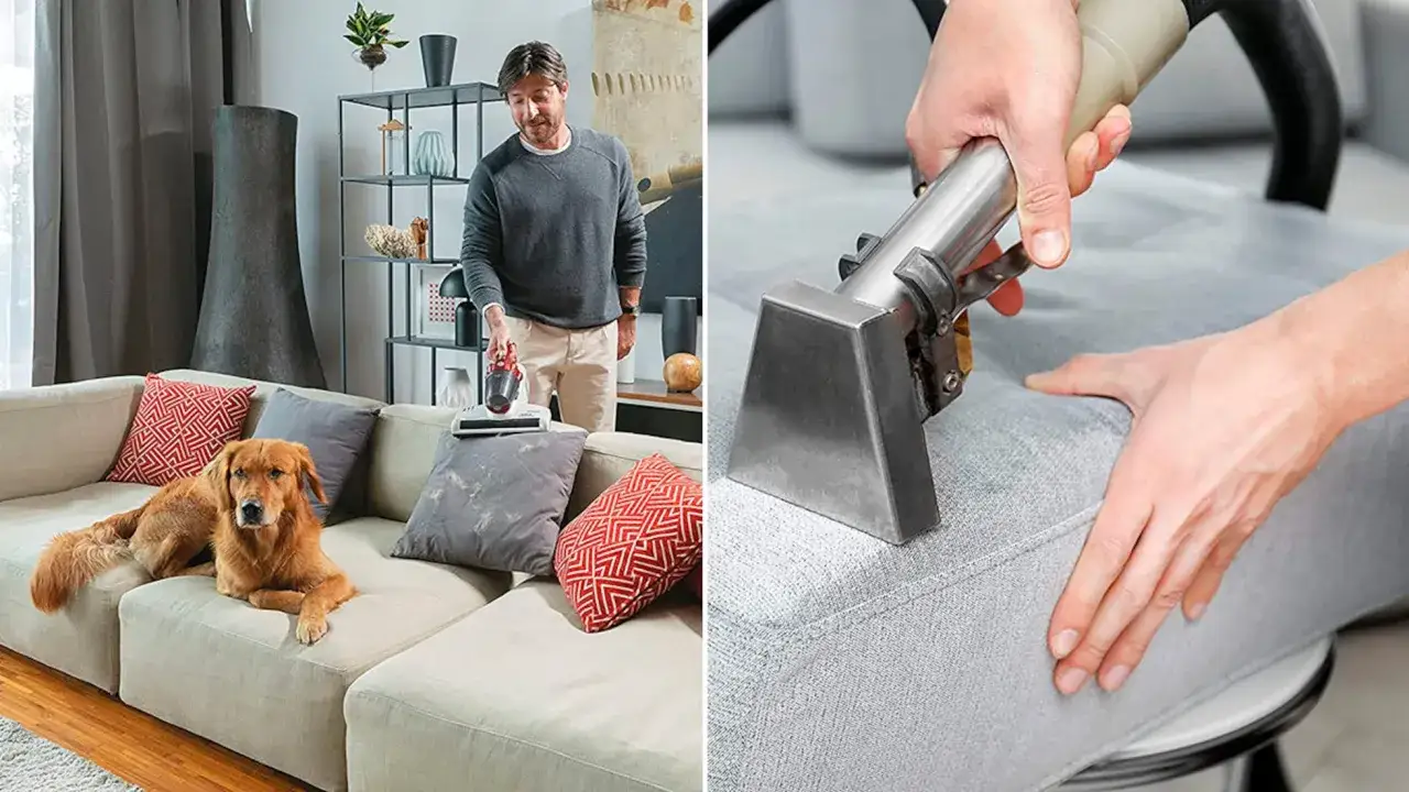 Hombre aspirando sillón con perro. Limpiar tapicería sillón con máquina profesional.