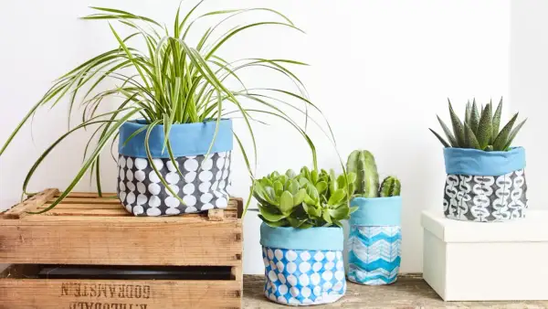 Maceteros decorados con tela de saco, con plantas de interior y suculentas.