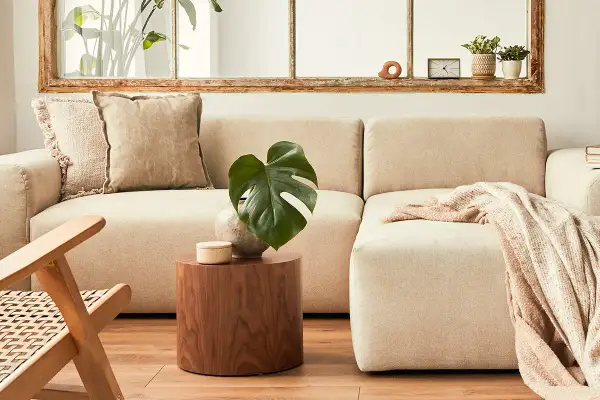 Sofá beige con cojines y manta. Mesa auxiliar de madera con planta y reloj. Ideas para limpia tapicerias casero.
